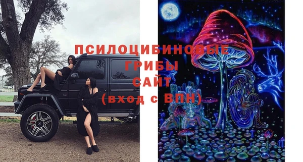 синтетический гашиш Новодвинск