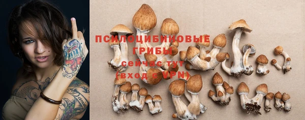 синтетический гашиш Новодвинск