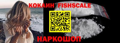 амф Гусев
