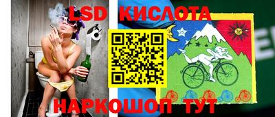 ГАЛЛЮЦИНОГЕННЫЕ ГРИБЫ Гусиноозёрск
