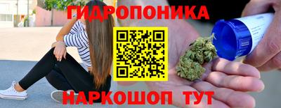 мдпв Гусь-Хрустальный