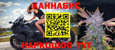 амф Гусев