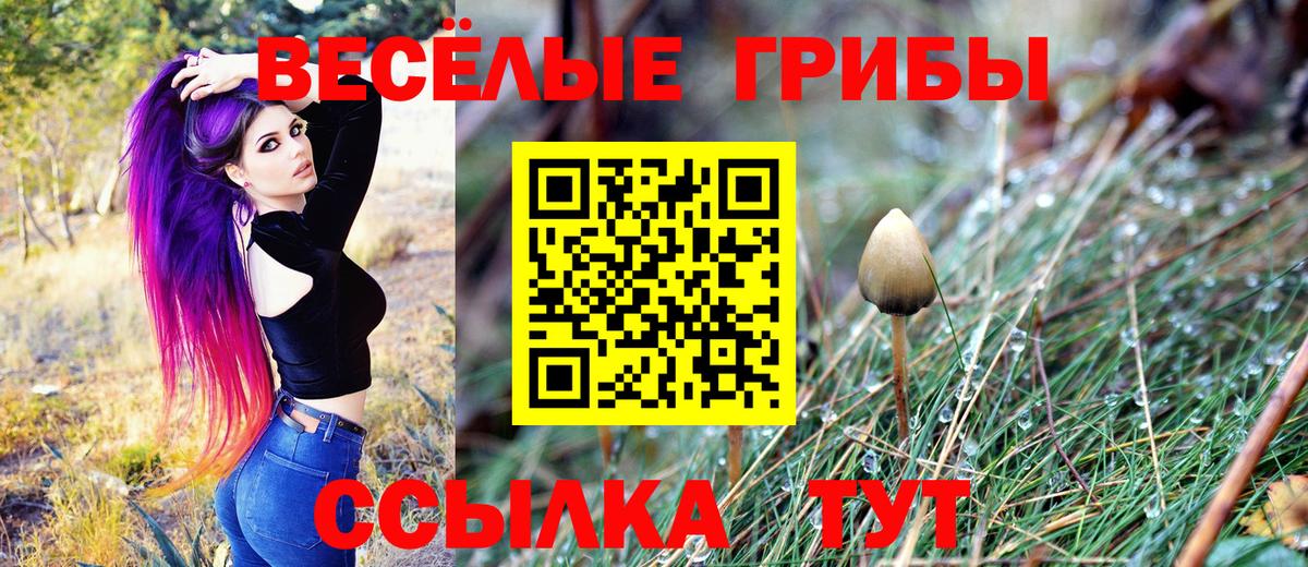 цена   Вход с VPN  Красноармейск  Псилоцибиновые грибы Magic Shrooms  Галлюциногенные грибы GOLDEN TEACHER 