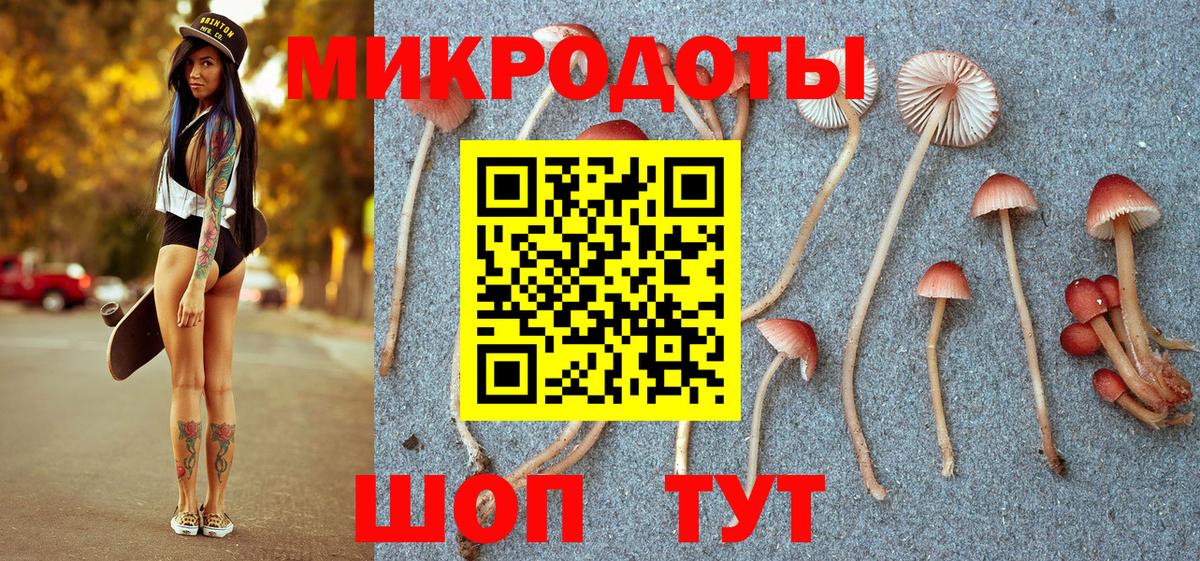 Галлюциногенные грибы мухоморы Красноармейск